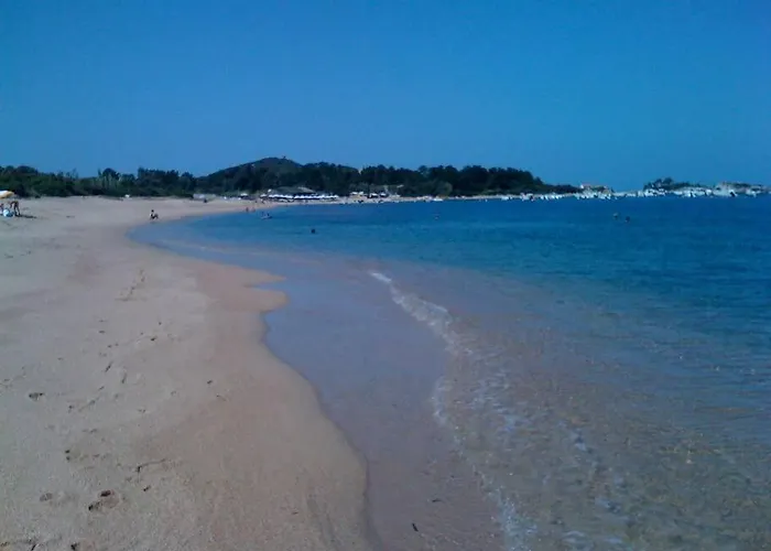 Maison Golfe D'ajaccio: Vue Villa Pietrosella